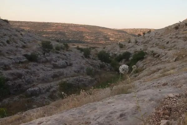 Poyraz kanyonu seyir terası - Resim 3