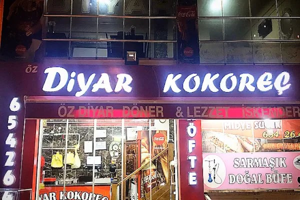 DİYAR KOKOREÇ - Resim 2