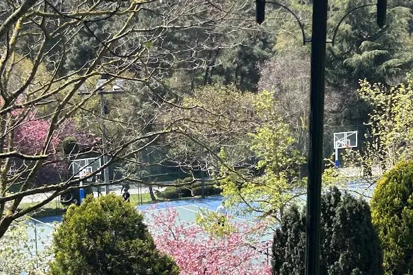 Yeditepe Üniversitesi - Resim 17