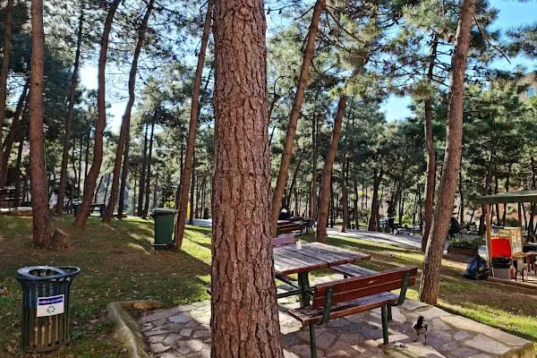 Yeditepe Üniversitesi - Resim 8