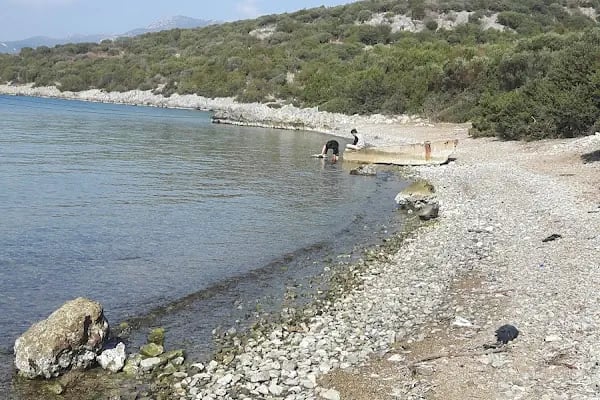 Aktur Residence - Resim 14