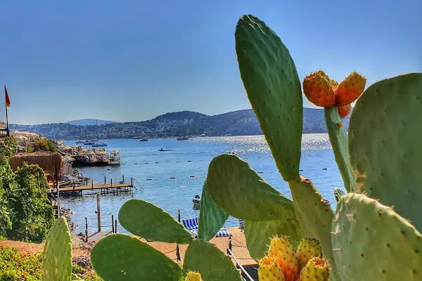 Aktur Residence - Resim 17