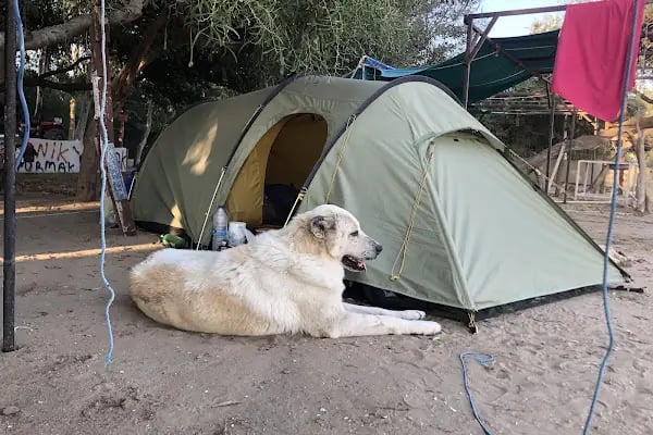 Esen Kamping - Resim 10
