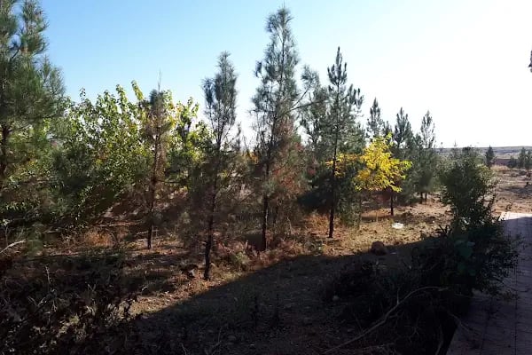 Kaçarsalucası ilkokulu - Resim 5