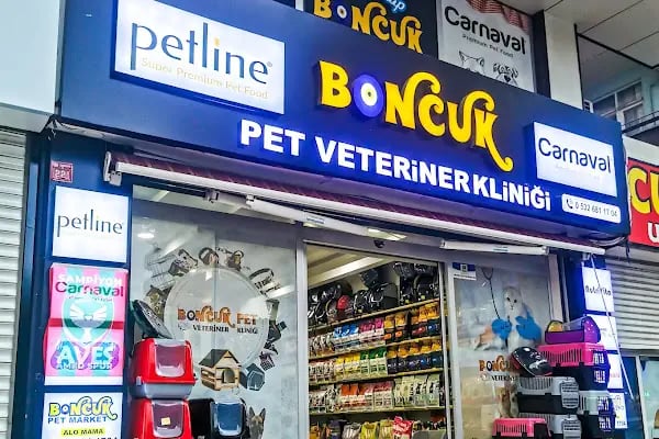 Boncuk pet Veteriner Kliniği ofis yenişehir - Resim 5
