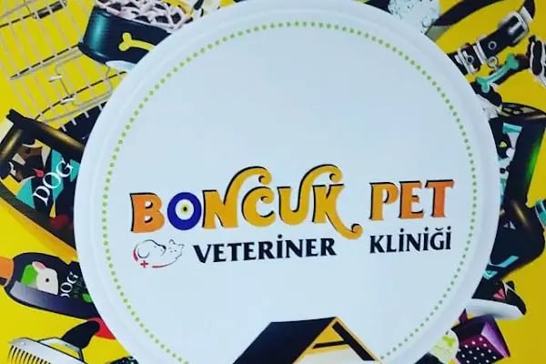 Boncuk pet Veteriner Kliniği ofis yenişehir - Resim 7
