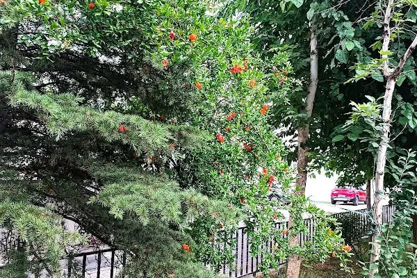 Erbab Yaşam Sitesi - Resim 10