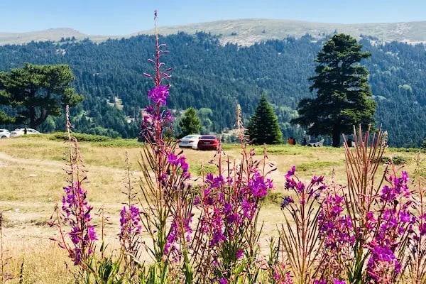 Milli Park Gişeleri - Resim 20