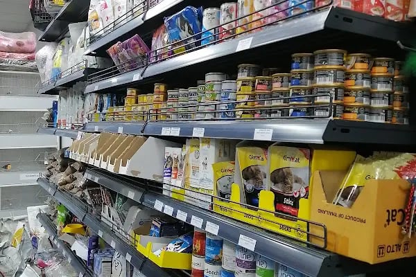 Eylül Petshop - Resim 16