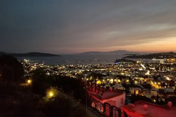 Yurtiçi Kargo Halikarnas - Resim 3