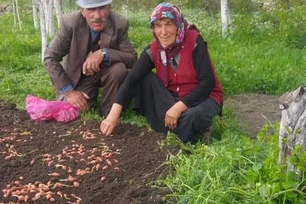 İncedere - Resim 14