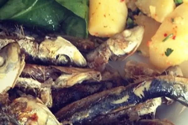 Ünal Pasta & Bistro - Resim 13