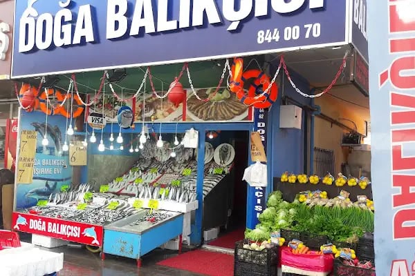 doga balikcisi - Resim 2
