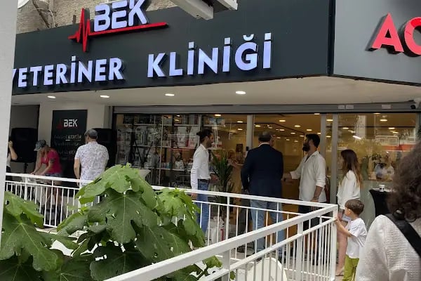 BEK Veteriner Kliniği - Resim 4