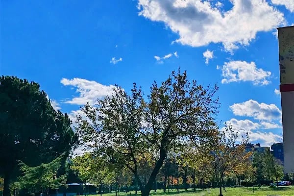 İstanbul üniversitesi dil merkezi - Resim 3