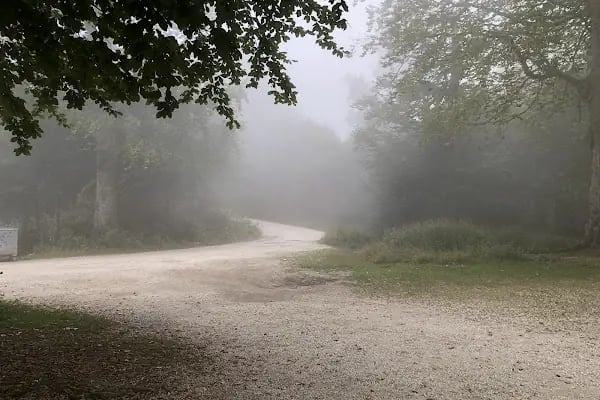 Kuzuyayla Tabiat Parkı - Resim 7