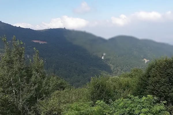 Kuzuyayla Tabiat Parkı - Resim 19