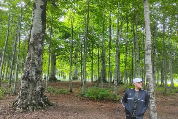 Kuzuyayla Tabiat Parkı - Resim 11