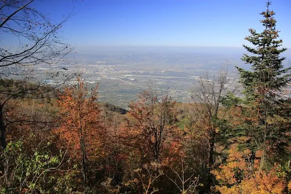 Kuzuyayla Tabiat Parkı - Resim 9
