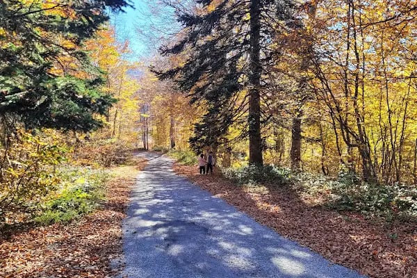 Kuzuyayla Tabiat Parkı - Resim 17