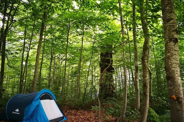 Kuzuyayla Tabiat Parkı - Resim 16