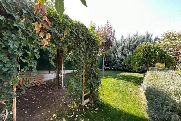 Silenos Bungalov and Stone House - Resim 4