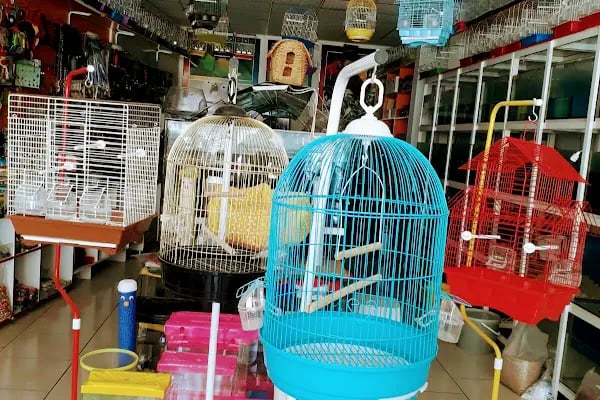 Albino petshop konya - Resim 13