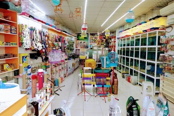 Albino petshop konya - Resim 2