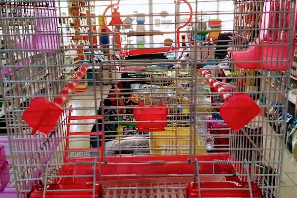 Albino petshop konya - Resim 8
