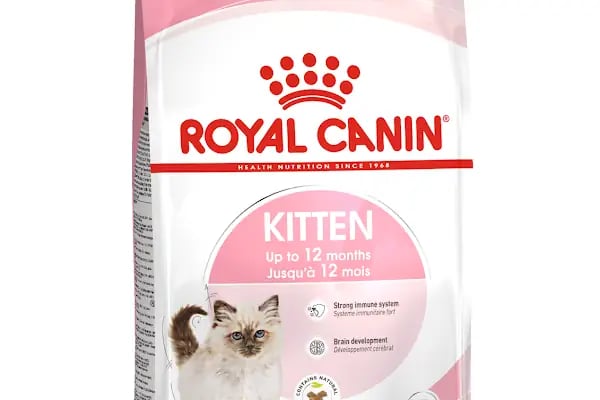 Albino petshop konya - Resim 10