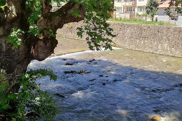 Cerrah Park Düğün Salonu - Resim 7