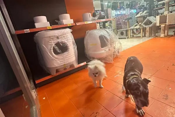 PetGross Petshop Antalya - Resim 4