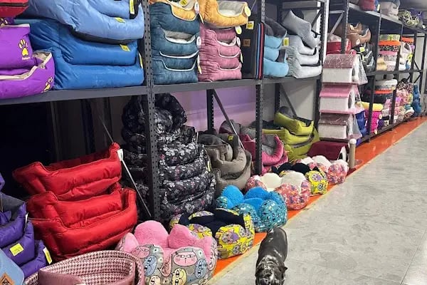 PetGross Petshop Antalya - Resim 10