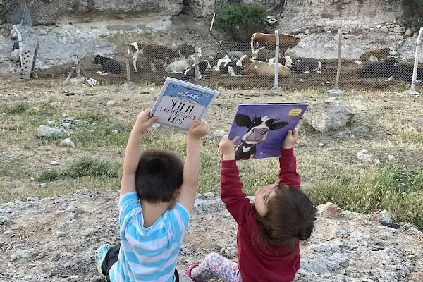 Neso Hayvancılık Kurbanlık ve Adaklık - Resim 10