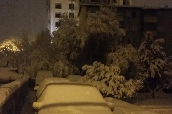 Yıldıztepe Mh. Muhtarlığı - Resim 3