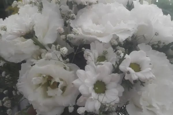Sepetim Çiçekçilik - Resim 11