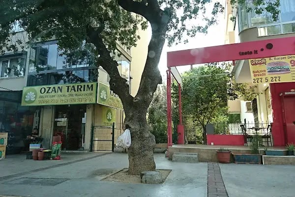 Ozan Tarım - Resim 1