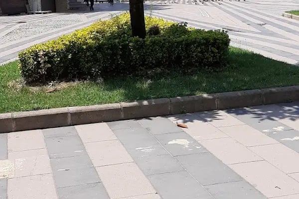 Adapazarı Belediyesi - Resim 12