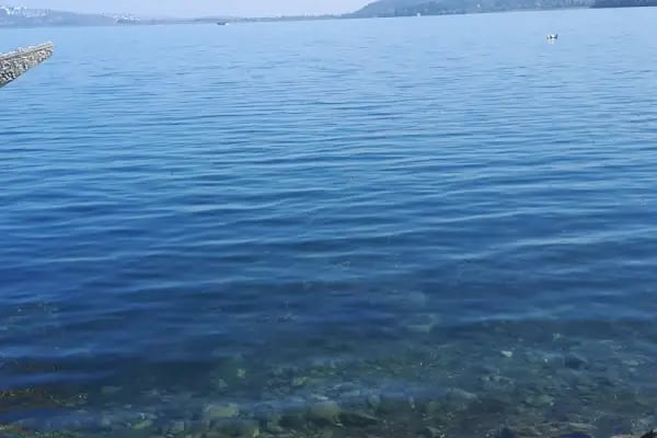 Adapazarı Belediyesi - Resim 4