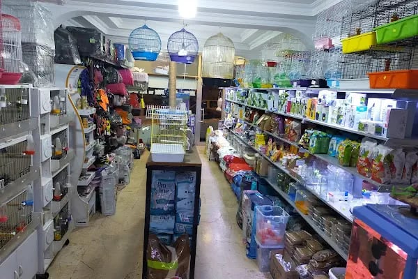 Hakan Akvaryum ve Pet Shop - Resim 5
