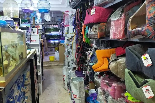 Hakan Akvaryum ve Pet Shop - Resim 18