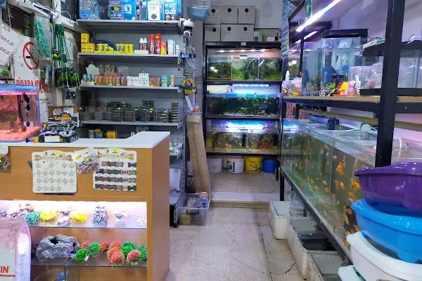 Hakan Akvaryum ve Pet Shop - Resim 17