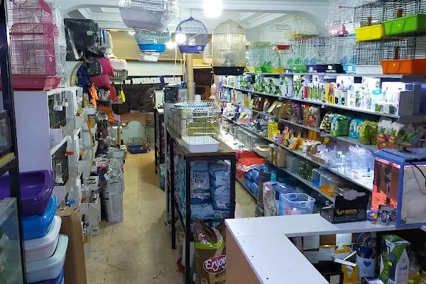Hakan Akvaryum ve Pet Shop - Resim 11