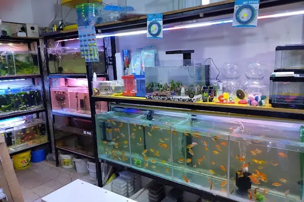 Hakan Akvaryum ve Pet Shop - Resim 4