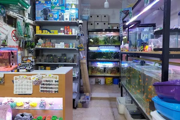 Hakan Akvaryum ve Pet Shop - Resim 16