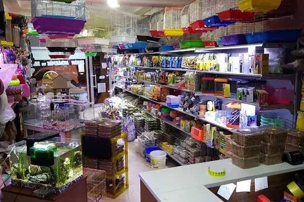 Hakan Akvaryum ve Pet Shop - Resim 7