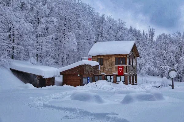 Orman Otağı Dağ Evi - Bungalov - Resim 20