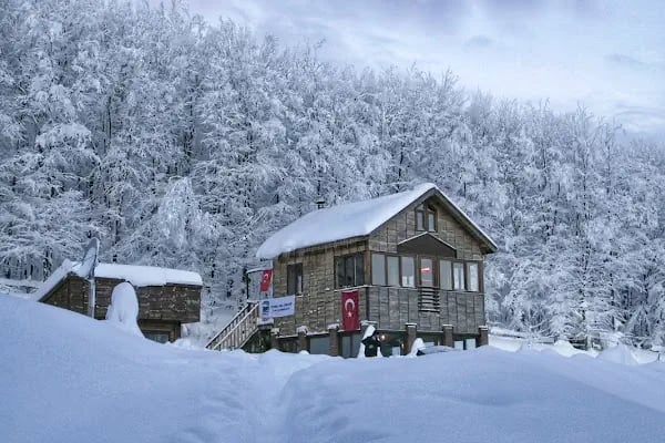 Orman Otağı Dağ Evi - Bungalov - Resim 7