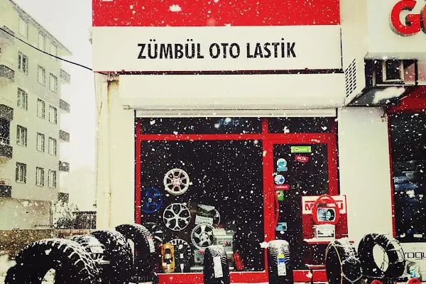 ZÜMBÜL OTO PETLAS BAYİ - Resim 6
