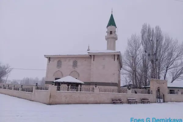Karahan Köyü Camii - Resim 3